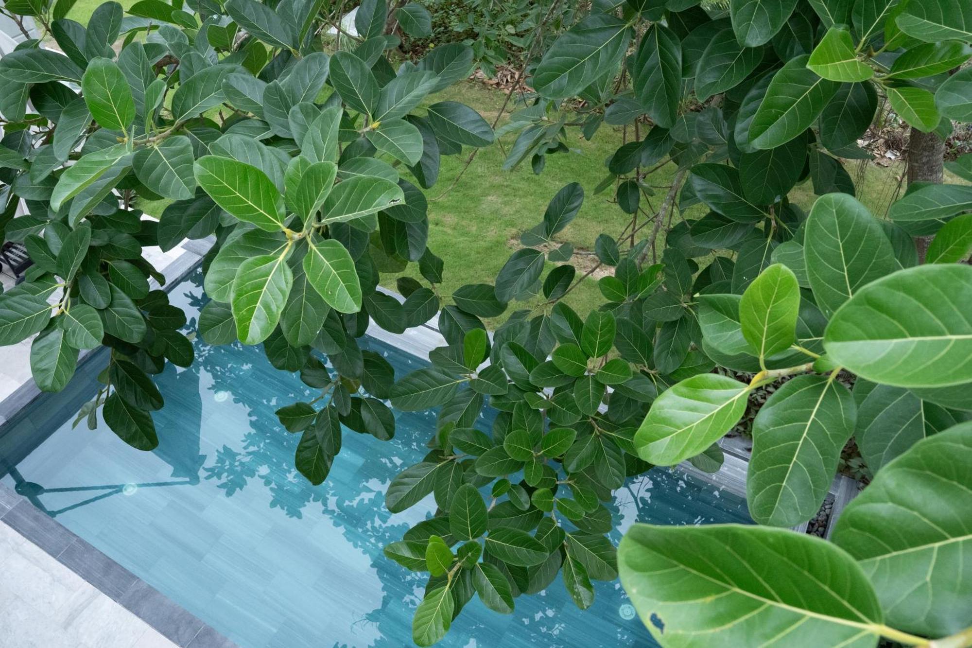 "Brg Golf Club" - Danang Private Pool Villa 3 Bedrooms #1 Eksteriør bilde